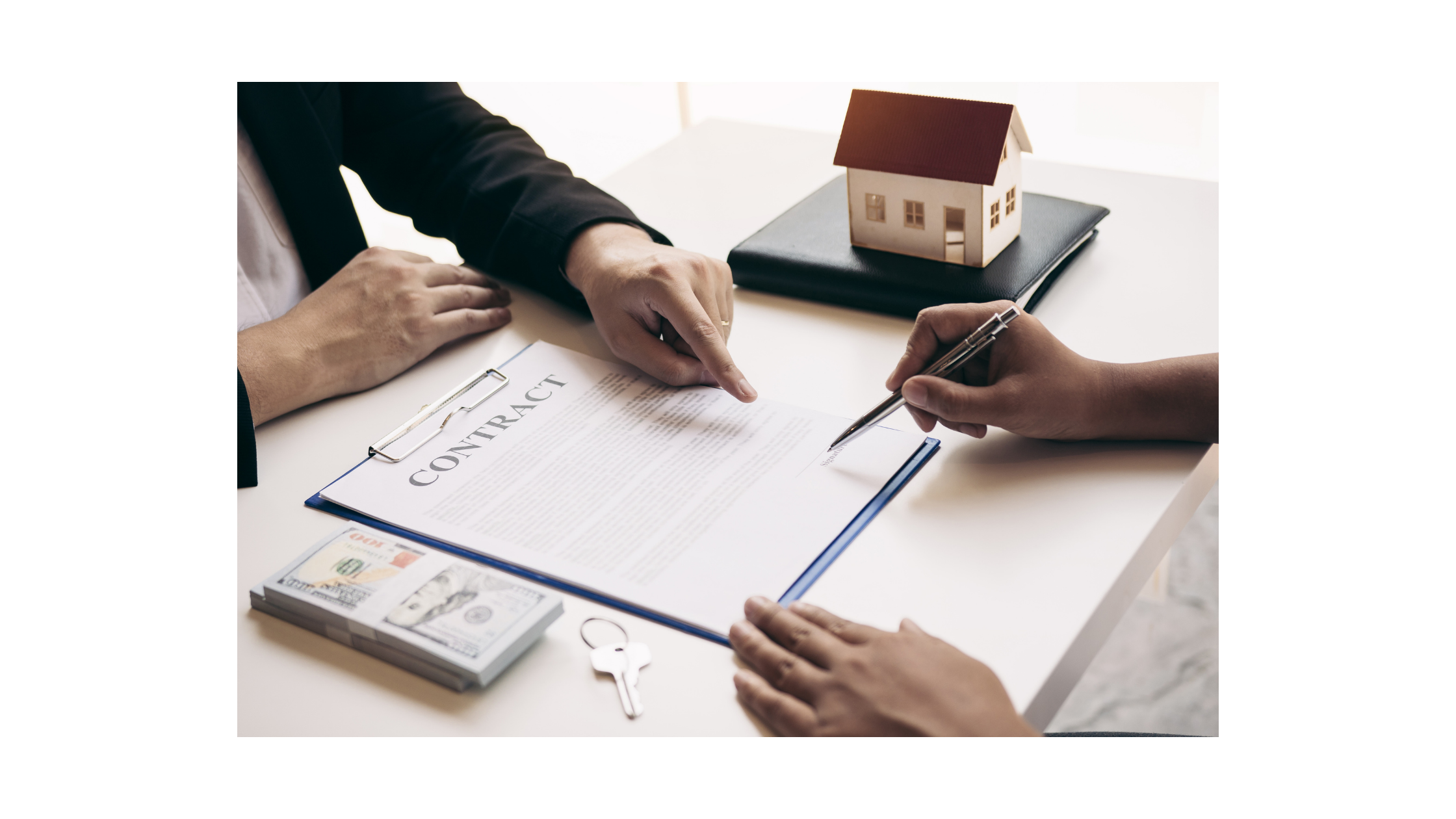 Untitled design (50)