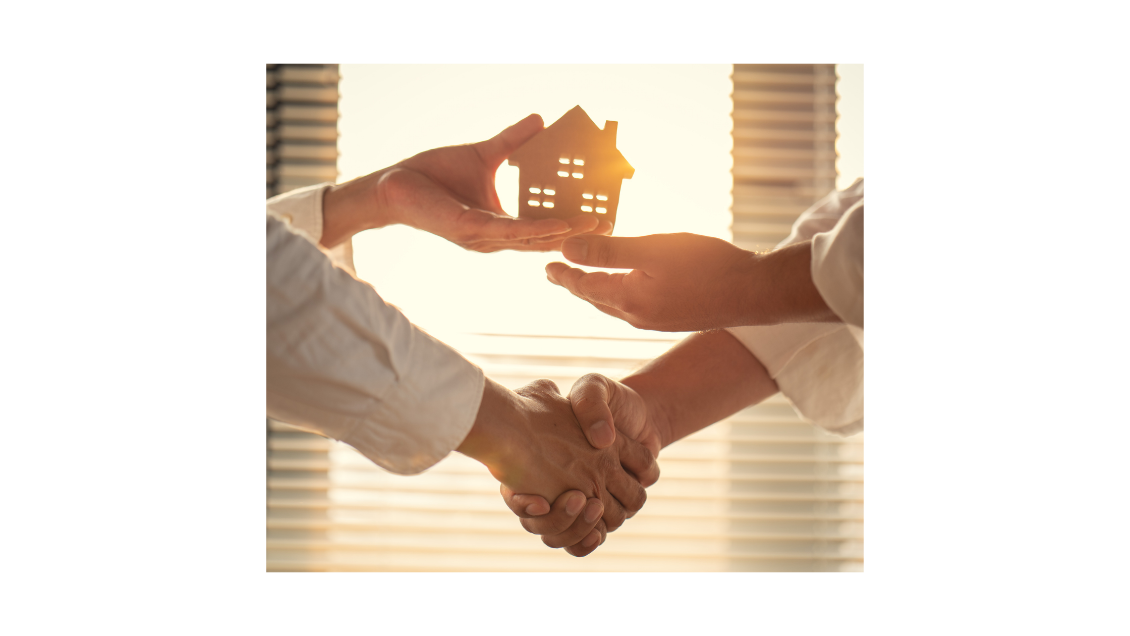 Untitled design (51)